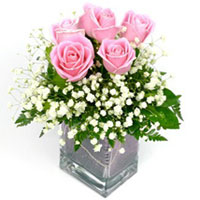 Blossoming Arrangement of Six Pink Roses in Vase
