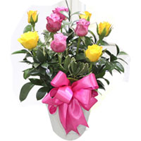 Attention-Getting Bouquet of 9 Yellow N Pink Roses