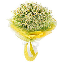 Fresh Gentle Sunshine Flower Bouquet