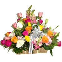 Beautiful Spring Color Basket of Blooms