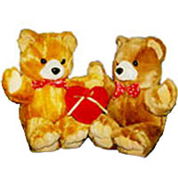 Cute Couple Teddy Bear with Stuffed Heart