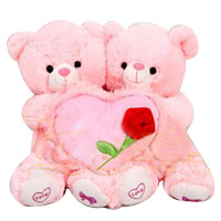 Extraordinary Love Couple Stuff Teddy Bear