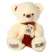 Attractive Gift of Cuddly Teddy Bear Plush Toy