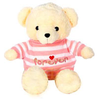 Smart Soft Teddy Bear with Forever Love