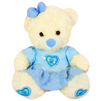 Beautiful Baby Girl Teddy Bear Soft Toy