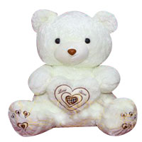 Extraordinary Best Wishes White Teddy Bear Toy