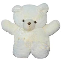 Cute White Teddy Bear Soft Toy