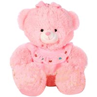 Attractive Pink Teddy Bear Cuddle Heart