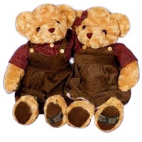 Dynamic Forever Love Couple Teddy Toy