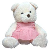 Wonderful Best Friend Teddy Bear Toy
