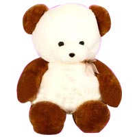 Special Friend Teddy Bear Soft Toy