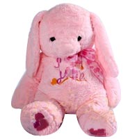 Fabulous Happy Teddy Bear for Loved ones
