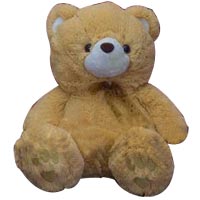 Cute Teddy Bear Soft Toy