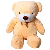 Adorable Teddy Bear Toy