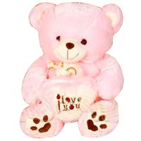 Precious Love Teddy Bear Plush Toy