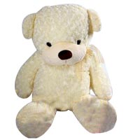 Sweet Teddy Bear Soft Toy