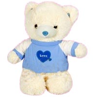Alluring The Cutest Teddy Bear Toy