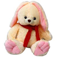 Beautiful Cuddle Teddy Soft Toy