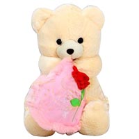 Special Soft and Sweet Hug Teddy Bear