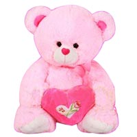 Adorable Heart Soft Teddy Toy