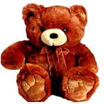 Teddy bear ....
