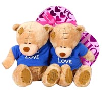 Beautiful Surprise Birthday Twins Teddy Gift