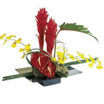 An imaginative flower arrangement that will bring lasting joy....