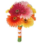 combo of gerberas and daisy