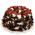 Choco Whipped Cream Cake