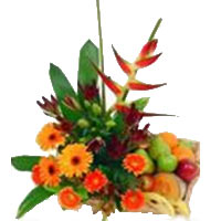 FRUITS & TROPICAL FLOWERS BASKET 