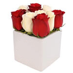 Rose Cube Red n White 9