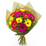 Gorgeous Gerberas Bouquet