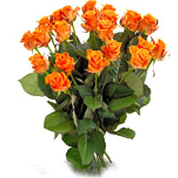 Invigorating Orange Roses