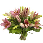 Pretty Pink Liliy