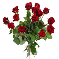 Bunch of Red Roses