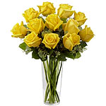 Enchanting New Year Beauty Blossoms