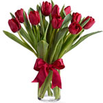 Radiantly Red Tulips