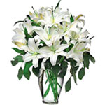 Perfect White Lilies