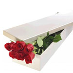 Flowering 6 Red Roses Gift Set