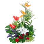 Exquisite Vibrant Color Mixed Flower Bouquet