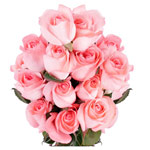 Pretty Pink Roses