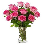 Fresh One Dozen Pink Roses