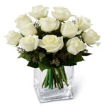 Tranquil Ocean of White Roses