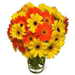 Vibrant Arrangement of Orange and Yellow Gerberas