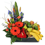 Tropical Fruity Basket  