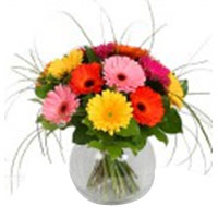 Gerbera DelightItem