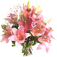 Loving Lilies