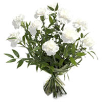 White Carnations