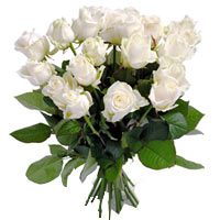 Wonderful white roses