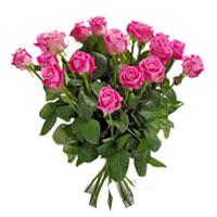 Charming Cerise Roses